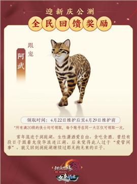 天龙八部私服 大陆版本